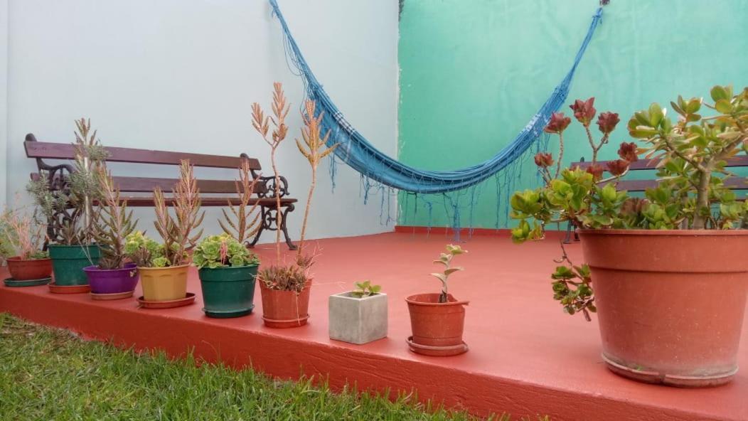 La Plata Hostel Экстерьер фото